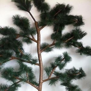 Furu blad skjule Tree Towers